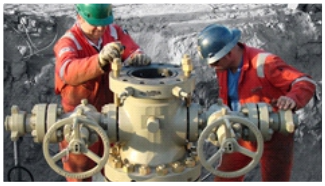Wellhead