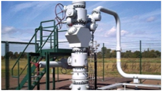 Wellhead